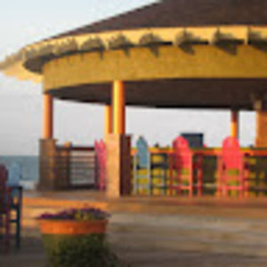 Meet your Posher, Janea